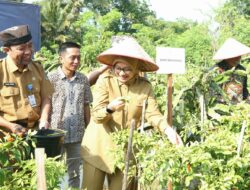 Dalam Rangka Mendukung Penguatan Ekonomi Banyuwangi BNK Indonesia Menggelar Gerakan Nasional Pengendalian Inflasi Pangan (GNPIP)