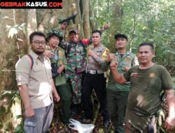 Giat Patroli Gabungan dalam rangka pengawasan hutan Lindung Gunung Rajabasa register III.