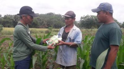 DPC Forkompenab Magelang Berikan Bantuan Pupuk kepada Poktan Sami Karya