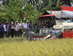 Pemkab Lambar Bersama Kementan RI Melakukan Panen Raya Padi Di Kecamatan BNS