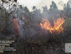 350 Hektar Lahan Hingga Satwa di Taman Nasional Way Kambas Terbakar