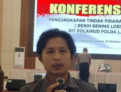 Aktivis Lingkungan Hidup Kecam Ilegal Fishing Benih Lobster di Lampung Tengah