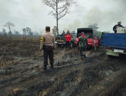 Ratusan Hektar Lahan Taman Nasional Way Kambas Terbakar Selama Dua Hari