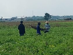 Penggelapan Uang Sewa Tanah Makam di Kelurahan Kapas Nganjuk : Lurah Diduga Terlibat Korupsi Besar