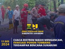 PU Kab. Sukabumi Quick Respon evakuasi pohon tumbang