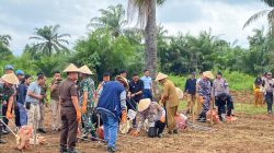 Penanaman Jagung Serentak 1 Juta Hektar, Polda Lampung Dukung Ketahanan Pangan Nasional