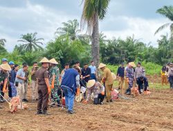 Penanaman Jagung Serentak 1 Juta Hektar, Polda Lampung Dukung Ketahanan Pangan Nasional