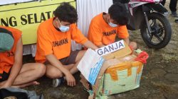 Polres Lamsel Gagalkan Penyelundupan 16 Kg Ganja, Dua Tersangka Ditangkap