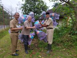 Budidaya Kelengkeng Madu di Lahan Sempit, Ini Tips dari Pelatih Bapeltan Provinsi Jateng