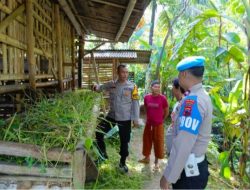 9 Kambing Milik Warga Purbalingga Raib Dimaling
