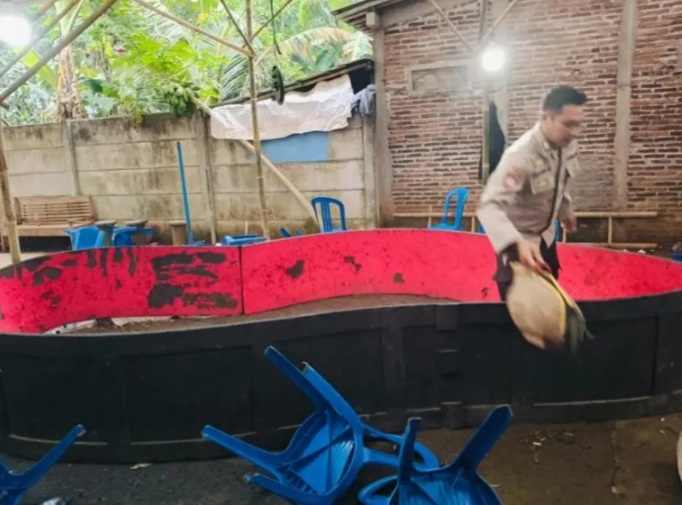 Arena Sabung Ayam di Desa Jepara Wetan, Kecamatan Binangun, Kabupaten Cilacap dibubarkan polisi (Dok Polresta Cilacap)