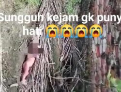 Sungguh Kejam dan Tak Punya Hati Seorang Ibu Tega Dibuang Bayi laki-laki Begitu Saja 