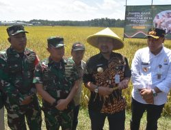 Danrem Wijayakusuma Vicon Panen Padi Serentak di Pemalang