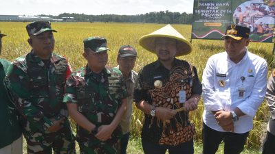 Danrem Wijayakusuma Vicon Panen Padi Serentak di Pemalang