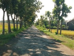 Jalan Berlubang di Blitaran Nganjuk : Ancaman Nyata, Pemerintah Cuek!