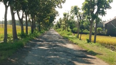Jalan Berlubang di Blitaran Nganjuk : Ancaman Nyata, Pemerintah Cuek!
