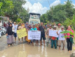 Warga Dari Enam Desa Kecamatan palas Desak Bupati Egi-Syaiful Bangun Jalan Rusak yang Dipenuhi ikan Lele