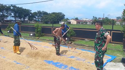 Dukung Ketahanan Pangan, Danrem 071 Terjun Langsung Penjemuran Gabah