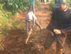 Masyarakat Pekon Batu Kebayan Kompak Gotong Royong Bersihkan Jalan Lingkar Pekon