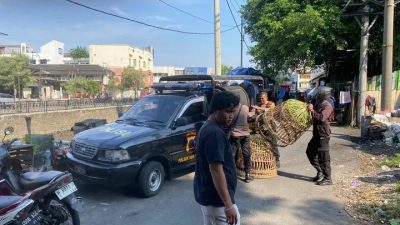 Lokasi Sabung Ayam di Belakang Pasar Johar Semarang Digerebek Polisi