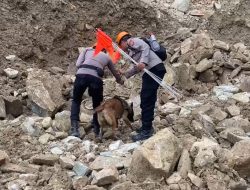 Unit K-9 Polda Jabar Temukan 3 Titik Diduga Korban Longsor di Gunung Kuda