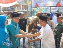 Dihadiri Idul Adha 1446 Hijriah, Tingkatkan Rasa Persaudaraan, Polda Lampung Serahkan 58 Hewan Kurban