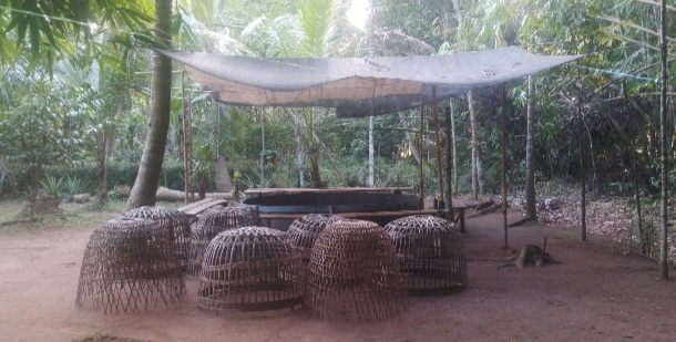 Eks arena sabung ayam di Purwosari Blimbing, Kecamatan Kutoarjo, Kabupaten Purworejo 
