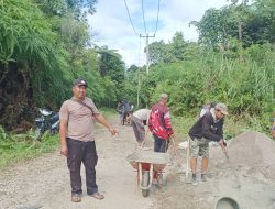 Bersatu Pemerintah Pekon Ringin Jaya Cor Jalan Rusak Demi Penguna Jalan Agar Lancar