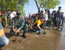 Peringati HUT ke-598 Kota Cirebon, ” Dengan Semangat Gotong Royongan” Pasandi Kodim 0614/Cirebon dan Babinsa Tanam Mangrove