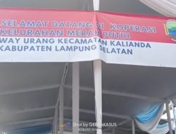 Pedagang Kecil Merugi, Di Gebyar Peluncuran KMP Kabupaten Lamsel