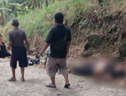 Satu Mahasiswa Tewas, Dalam Kecelakaan Maut di Turunan Minang Rua Bakauheni