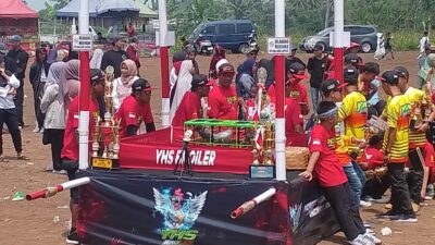 Pemdes Candisari Gelar Karnaval Kemerdekaan RI ke-80, Diikuti Ribuan Warga