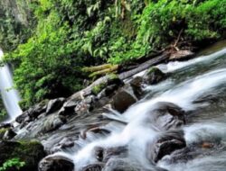 Gede Pangrango Destinasi Wisata untuk memanjakan mata