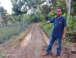 Ketua JWI DPW Lampung Desak Pemkab Pesawaran Segera Bangun Jalan Dusun Lubuk Tanoh