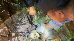 Tengkorak Manusia Ditemukan di Hutan Cepogo, Polisi Ungkap Identitasnya