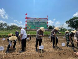 Dukung Swasembada, Polres Temanggung Tanam Jagung Serentak