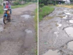 Bertahun -Tahun Jalan Berlobang Belum Tersentuh Perbaikan Dari Pemkab Lamsel