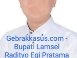 Bupati Lamsel Kecolongan, Mantan Napi Menjabat Ketua CSR