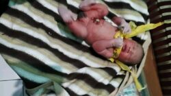 Penemuan Bayi di Banyumas, Polisi Kejar Pelaku Pembuangan