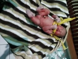 Penemuan Bayi di Banyumas, Polisi Kejar Pelaku Pembuangan