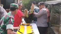 Pemancing Ditemukan Tewas di Sungai Pogung, Diduga Terpeleset