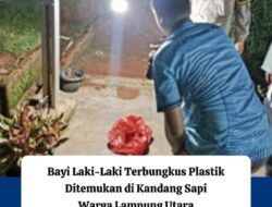 Digegerkan Penemuan Seorang Bayi Laki-laki Baru Lahir Terbungkus Plastik Dekat Kandang Sapi