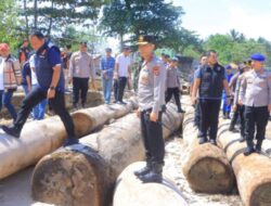 Kapolda Lampung Pantau Langsung Diduga Kasus Kapal Tongkang Pengangkut Kayu Yang Ilegal 