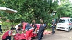Kecelakaan di Jalan Raya Bojong Pekalongan Tewaskan Dua Pemuda