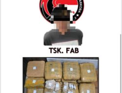 Ganja Dengan Berat 13,8 Kg di Lamsel, Satu Pengedar Diamankan Polda Lampung