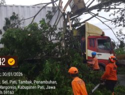 Truk Tronton Tersangkut Pohon di JLS Penambuhan, Arus Pati-Kudus Sempat Terganggu