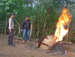 Polres Malang Kembali Bongkar Arena Sabung Ayam di Kalipare