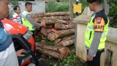 Cari Pakan Ternak, Lansia di Kebumen Tewas Kesetrum Tiang Listrik