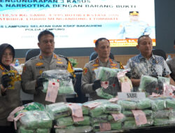 Polres Lamsel Ungkap 3 Kasus Narkotika, Sita 118,59 Kg Sabu dan Selamatkan 479.857 Jiwa