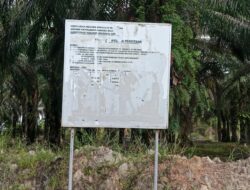 Lahan Sawit Sitaan Reskrimsus Polda Babel di Dusun Jampan Diduga Jadi Bancakan Penambang Timah